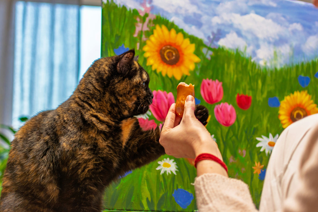 The Problem with Photos (And Why Paintings Remember Differently)