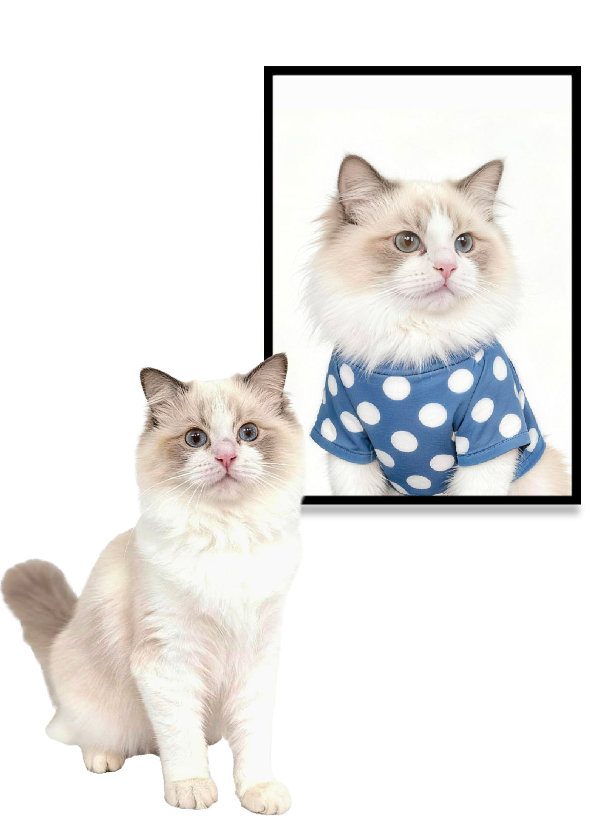 Modern Simplicity Style Pet Portrait